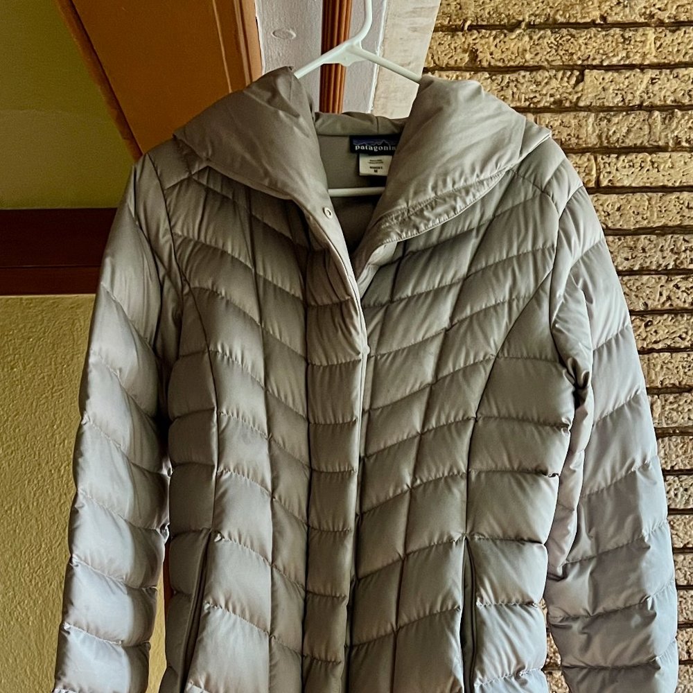 Full Length Patagonia Silver Down Coat
